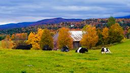 Hotels in Stowe