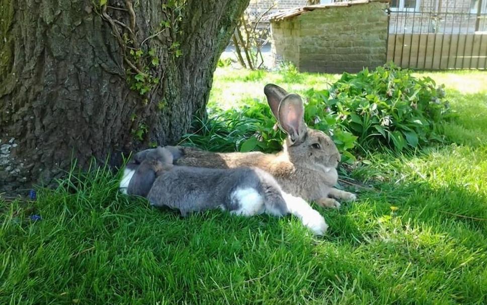 Buiten zicht Foto's