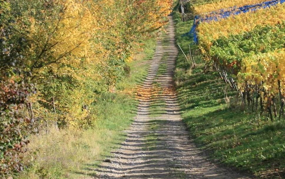 Buiten zicht Foto's