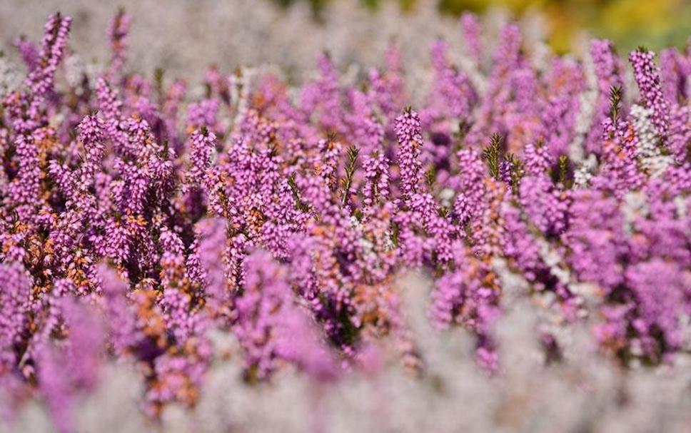 Buiten zicht Foto's