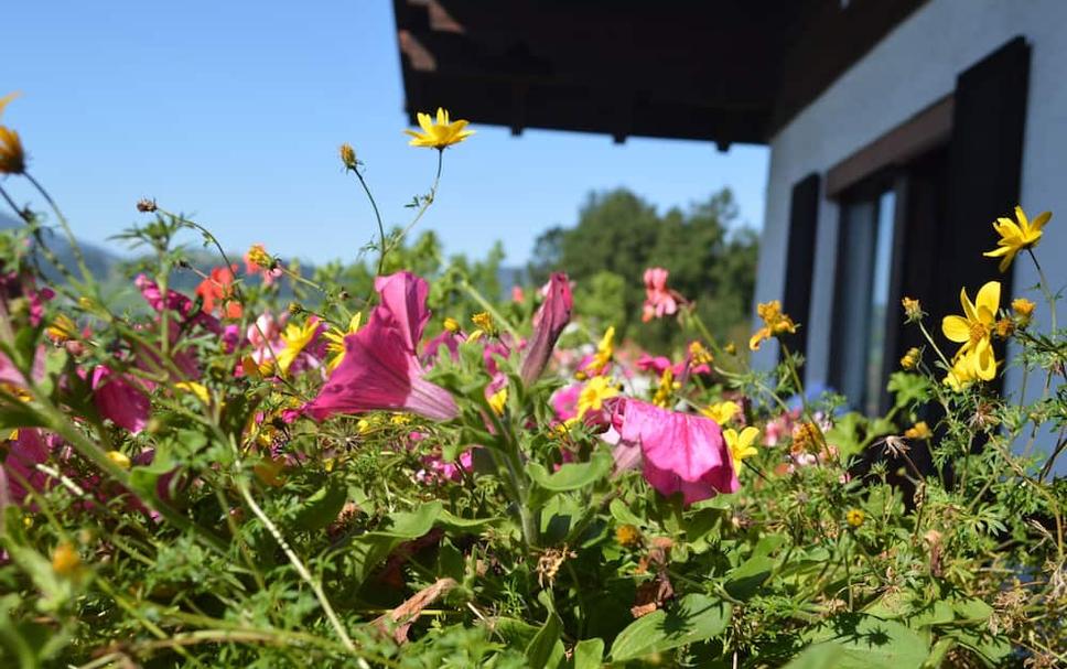 Buiten zicht Foto's