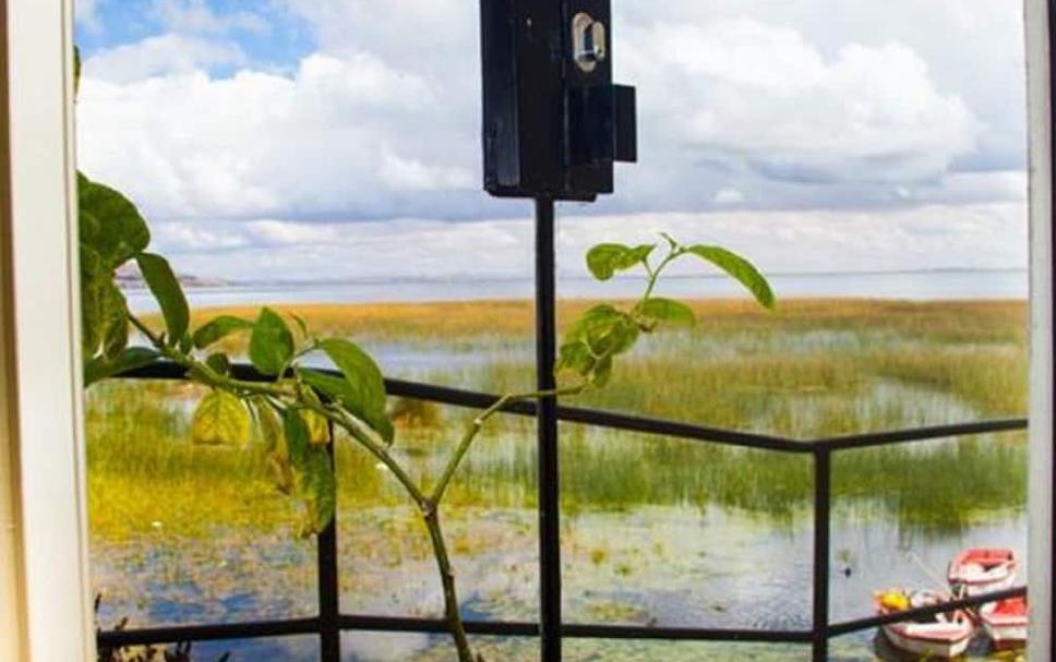 Buiten zicht Foto's