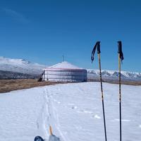 Iceland Yurt