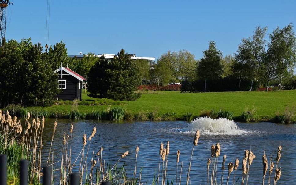 Buiten zicht Foto's