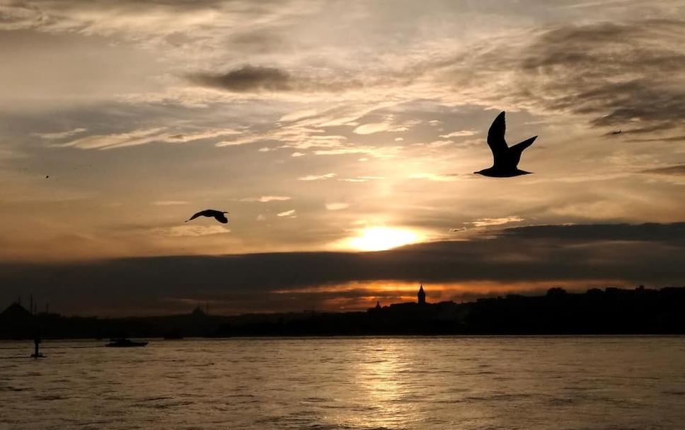 Buiten zicht Foto's