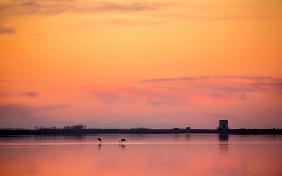 Buiten zicht Foto's