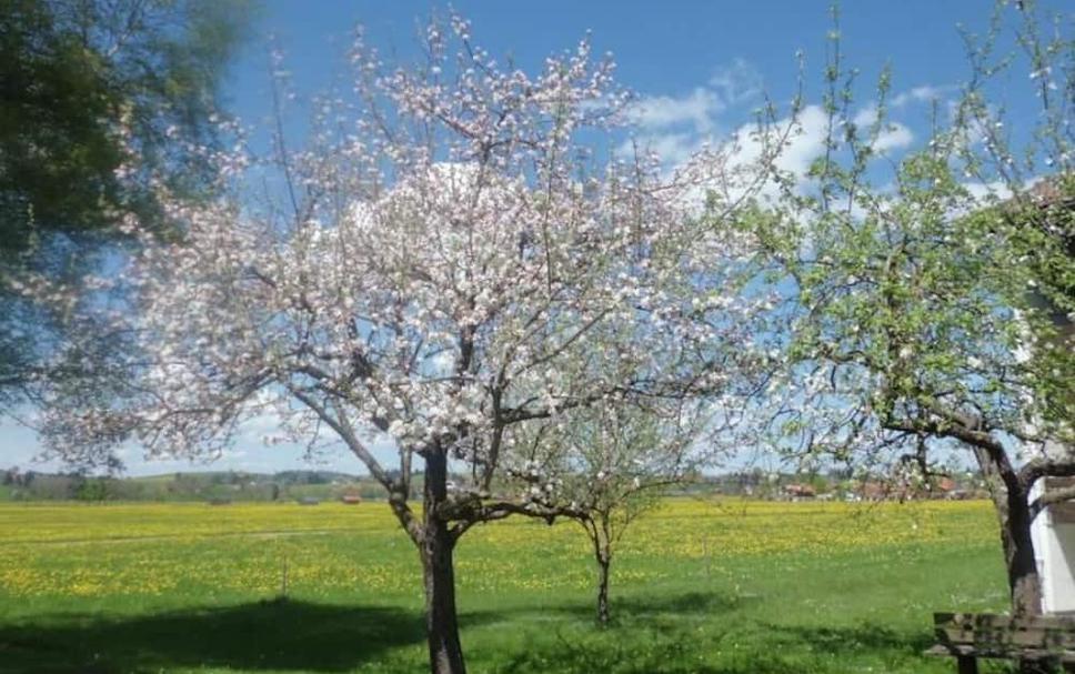 Buiten zicht Foto's