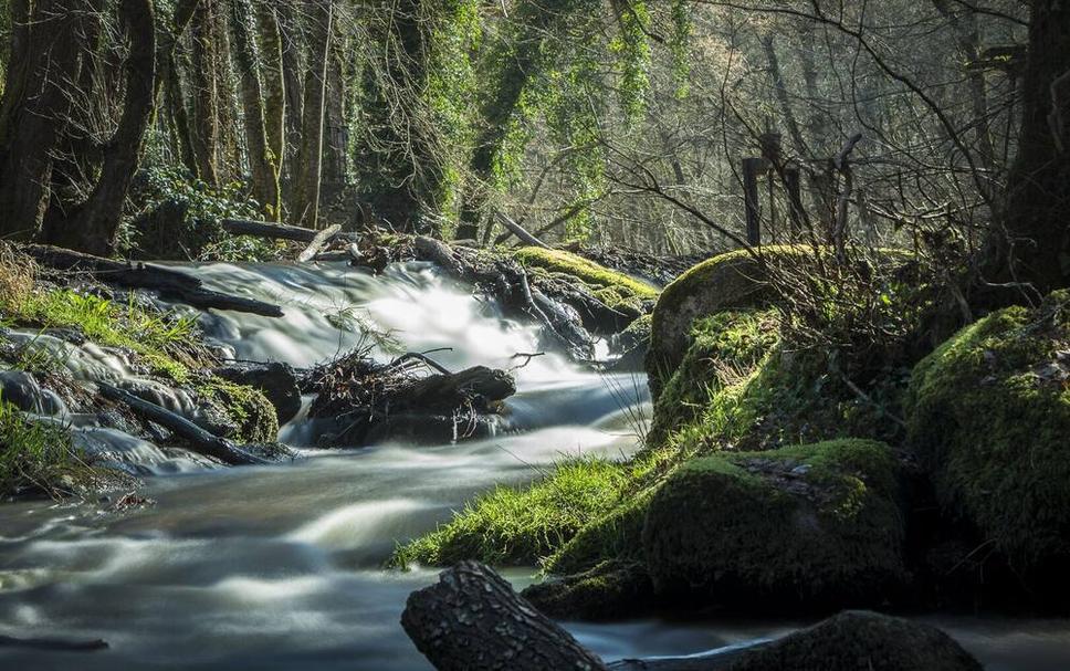 Buiten zicht Foto's