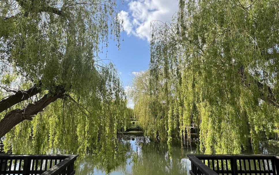 Buiten zicht Foto's