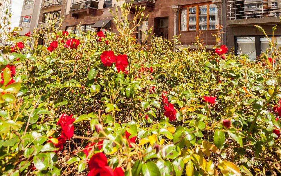 Buiten zicht Foto's