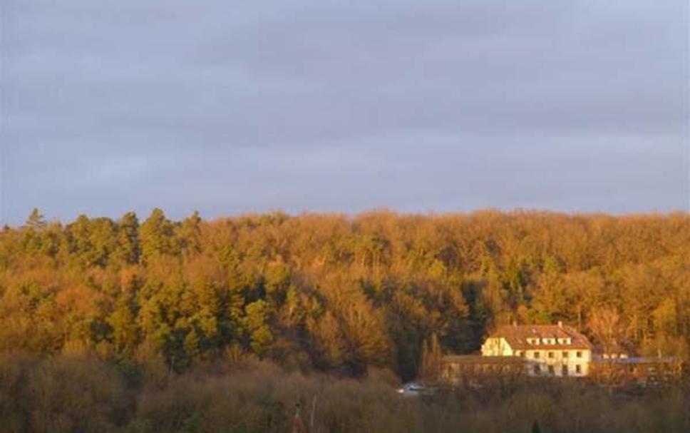 Buiten zicht Foto's