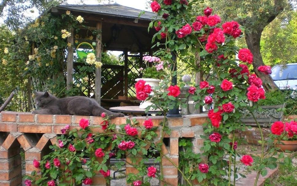 Buiten zicht Foto's