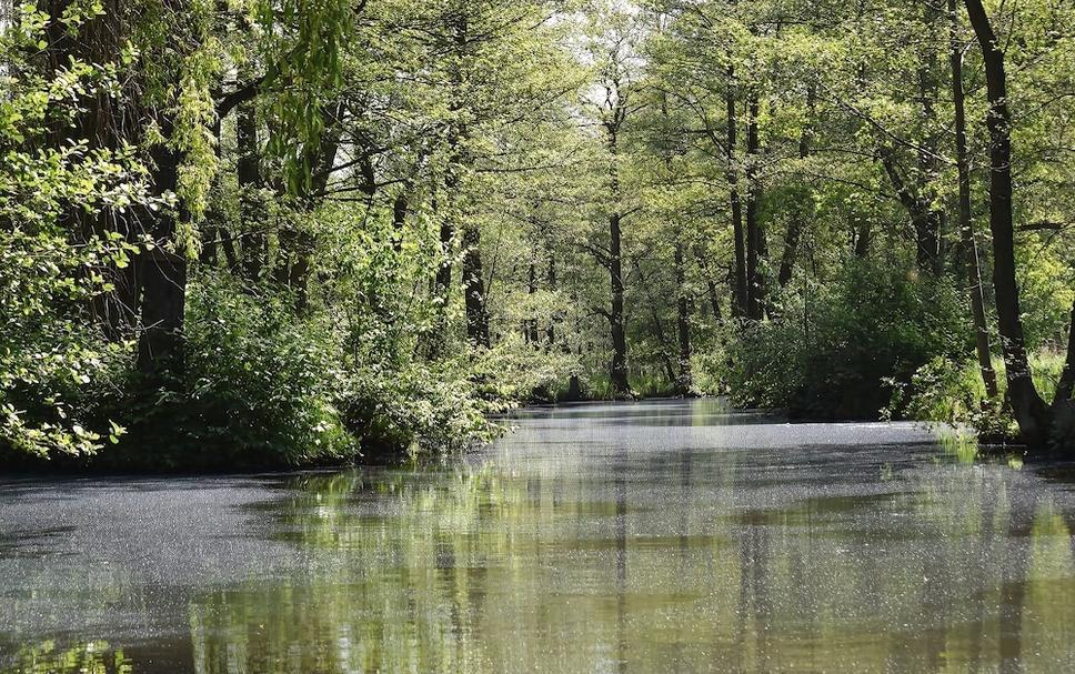 Buiten zicht Foto's