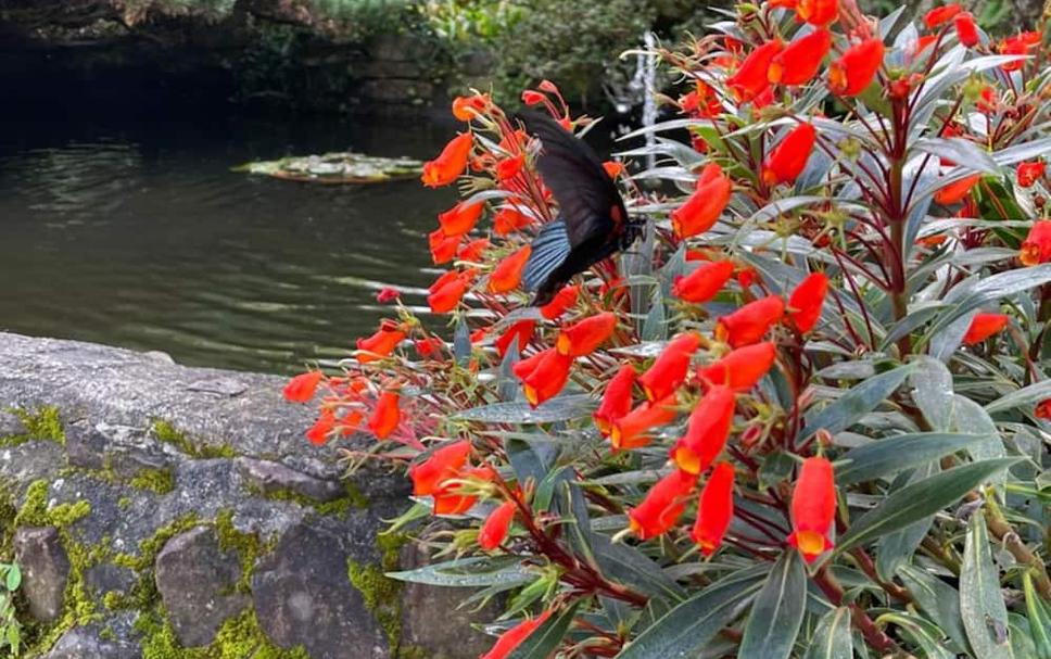 Buiten zicht Foto's