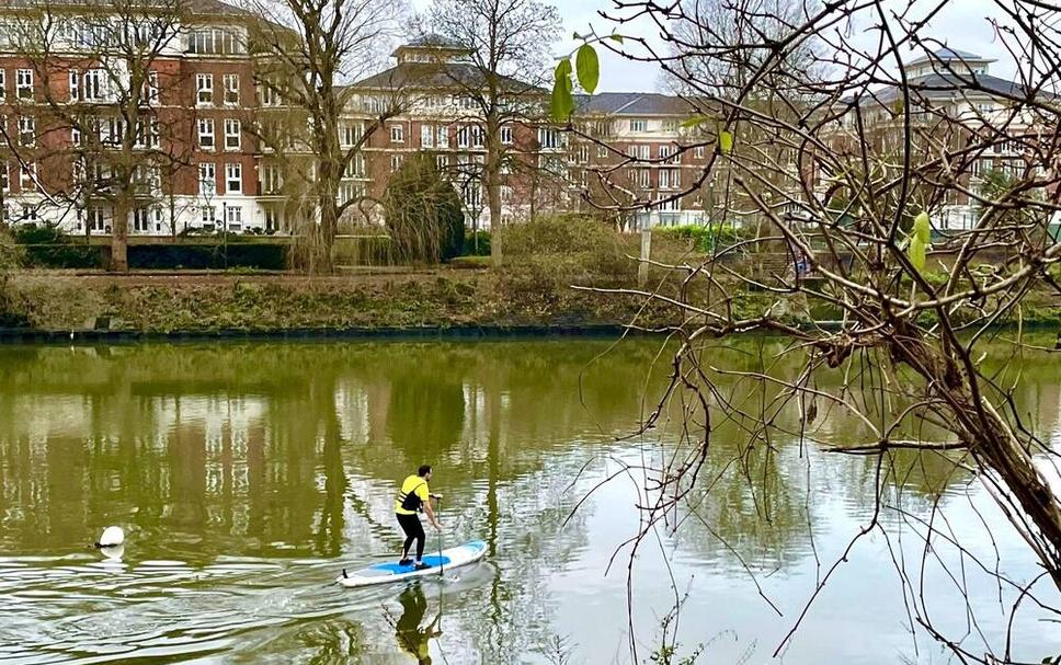 Buiten zicht Foto's