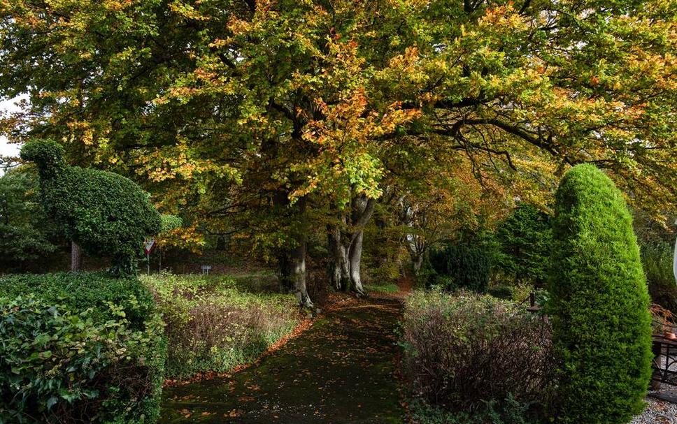 Buiten zicht Foto's