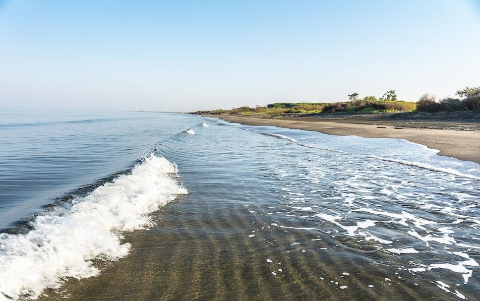 Strand Foto's