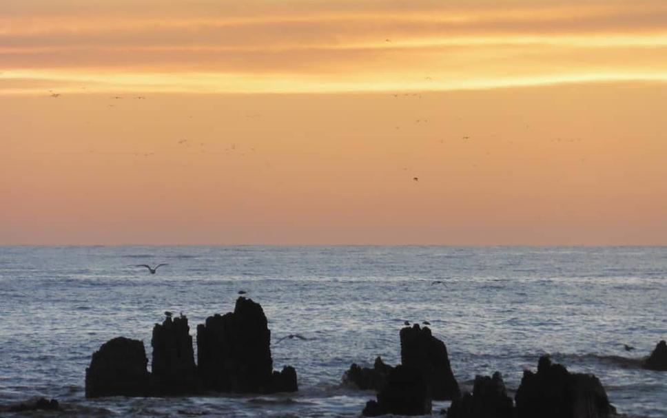 Strand Foto's