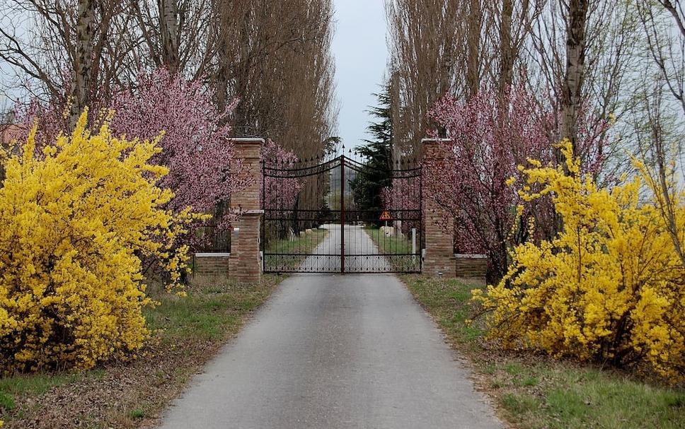 Buiten zicht Foto's