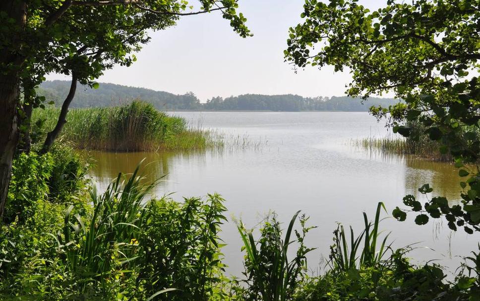 Buiten zicht Foto's