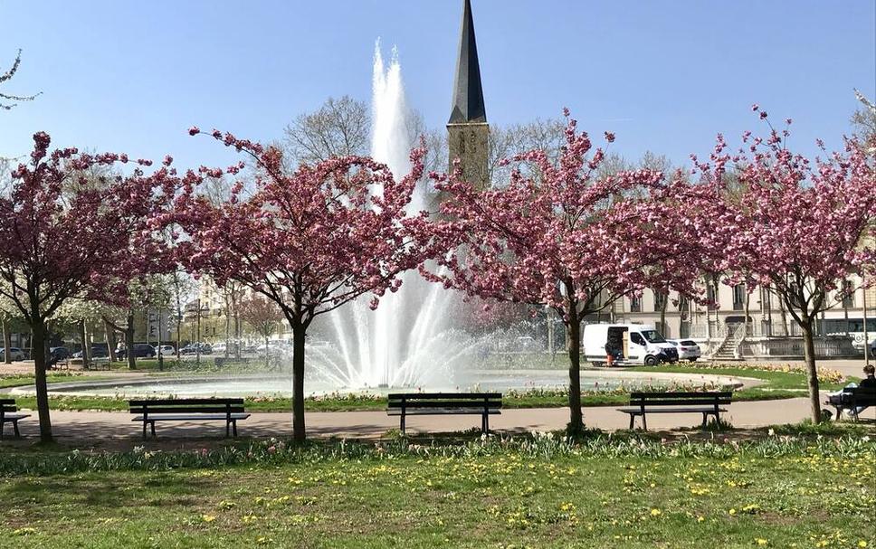 Buiten zicht Foto's