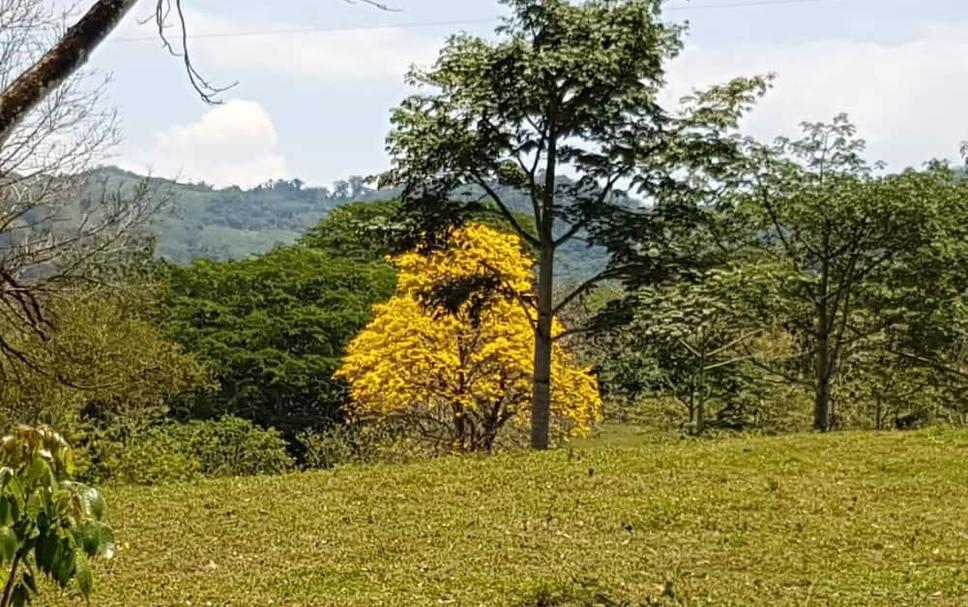 Buiten zicht Foto's