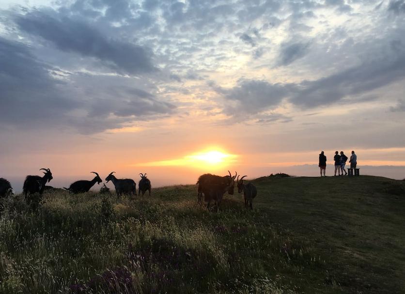 Buiten zicht Foto's