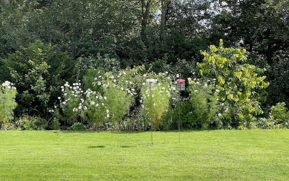 Buiten zicht Foto's