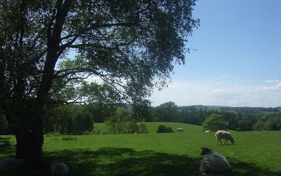 Buiten zicht Foto's