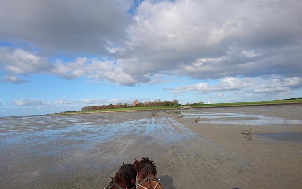 Strand Foto's