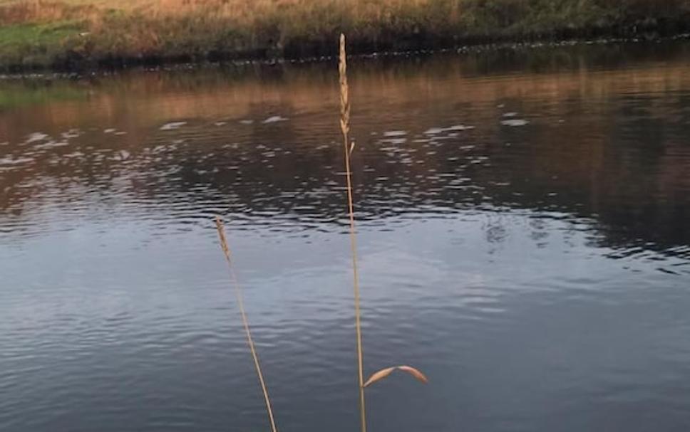 Buiten zicht Foto's