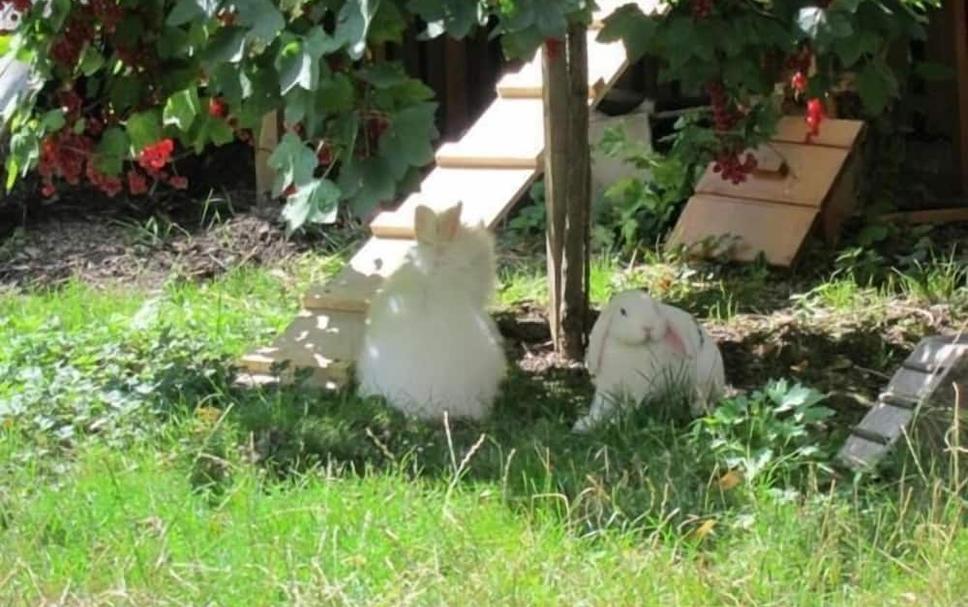 Buiten zicht Foto's