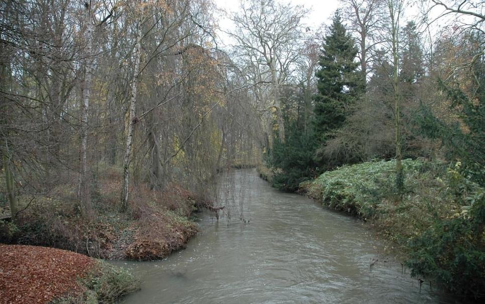 Buiten zicht Foto's