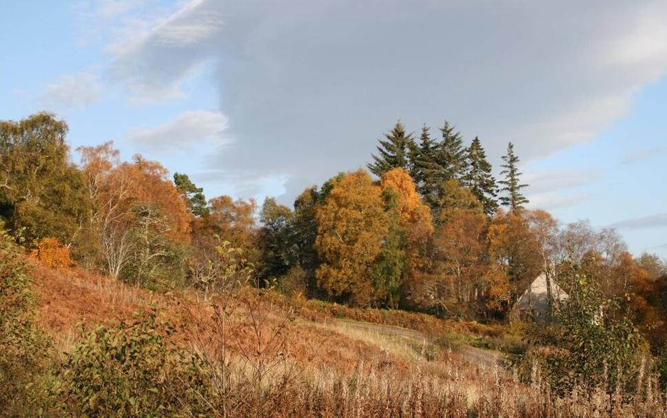 Buiten zicht Foto's