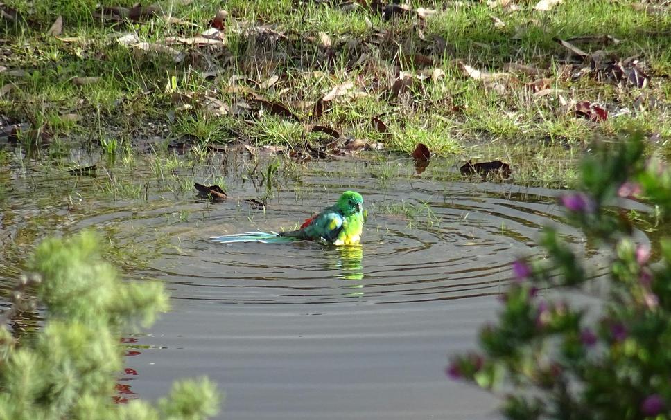 Buiten zicht Foto's